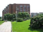 IMG_6162.jpg - 